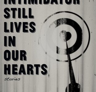 The Intimidator Still Live in Our Hearts: Stories by Gary Amdahl (2013)
